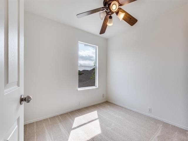 10716 Astor Drive - Photo 11