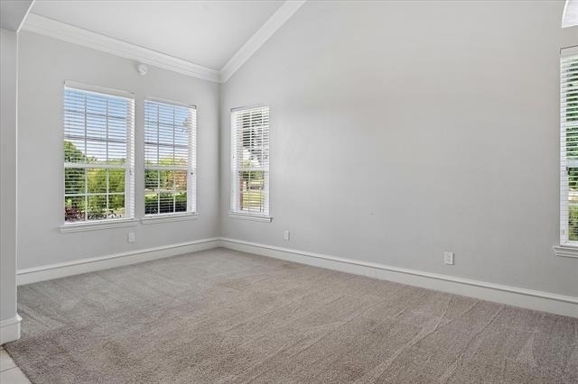1604 Morning Dove Court - Photo 4