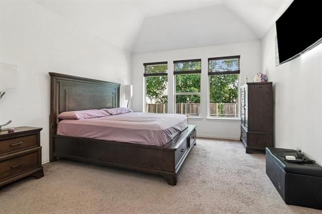 5517 Demi Sec Drive - Photo 10