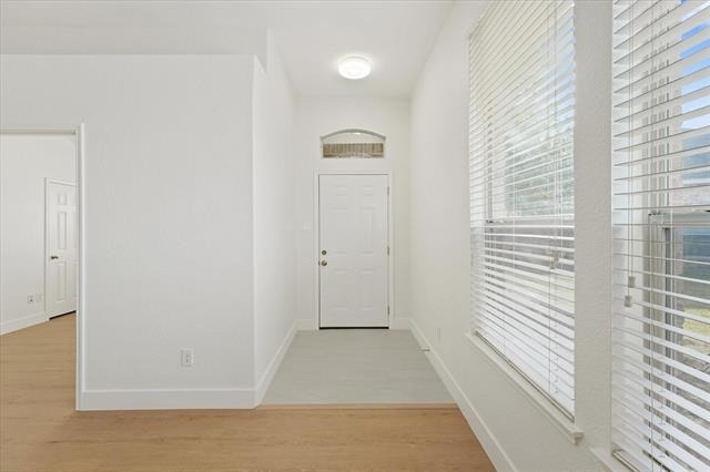 1201 Telese Court - Photo 2