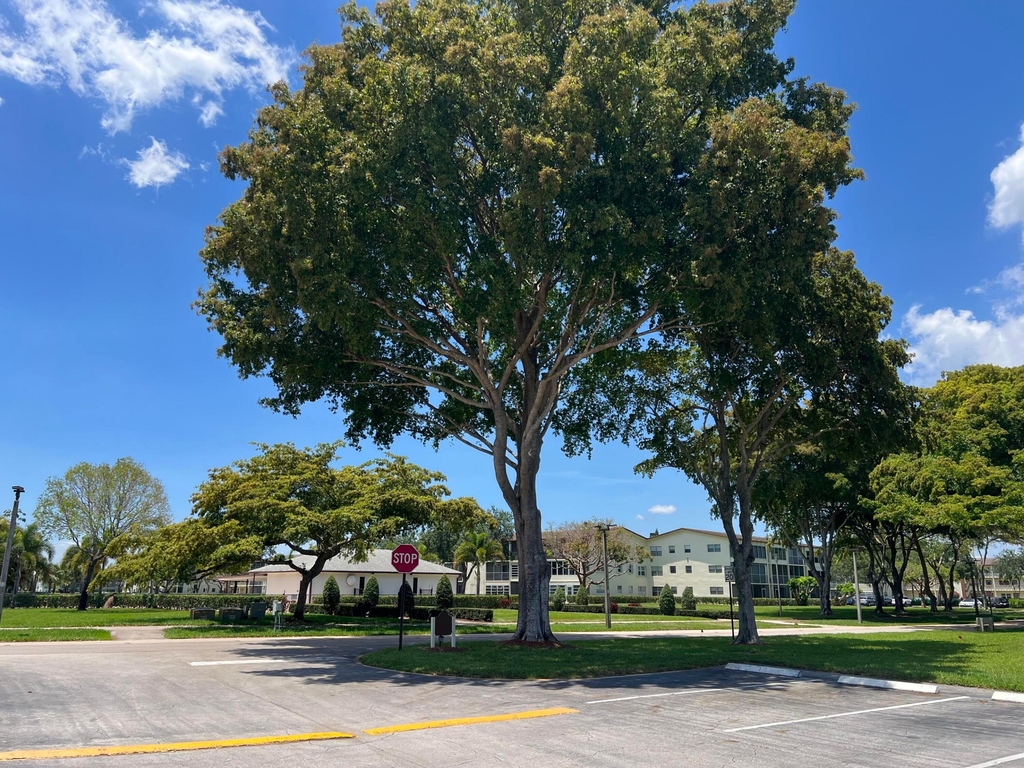 36 Mansfield A - Photo 10