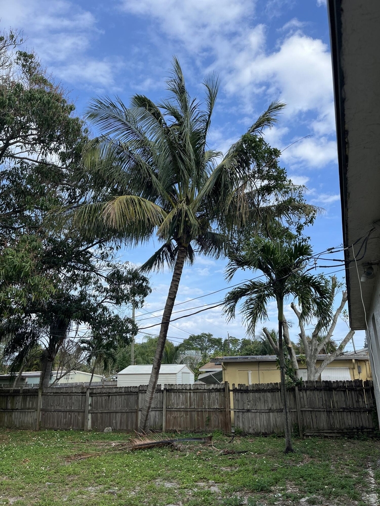 511 W Palm Street - Photo 18