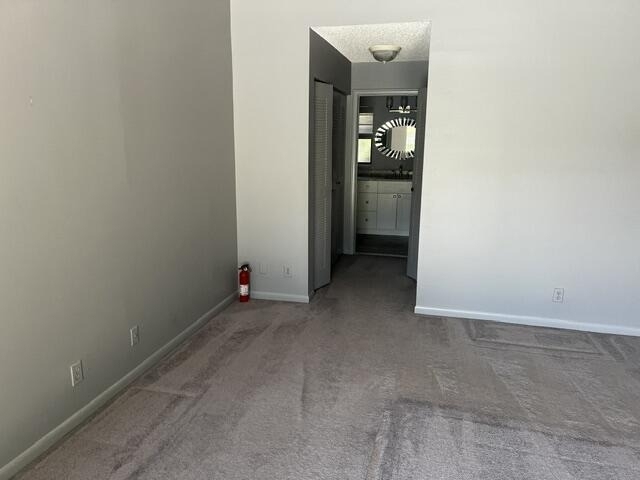 6063 Sunberry Circle - Photo 9