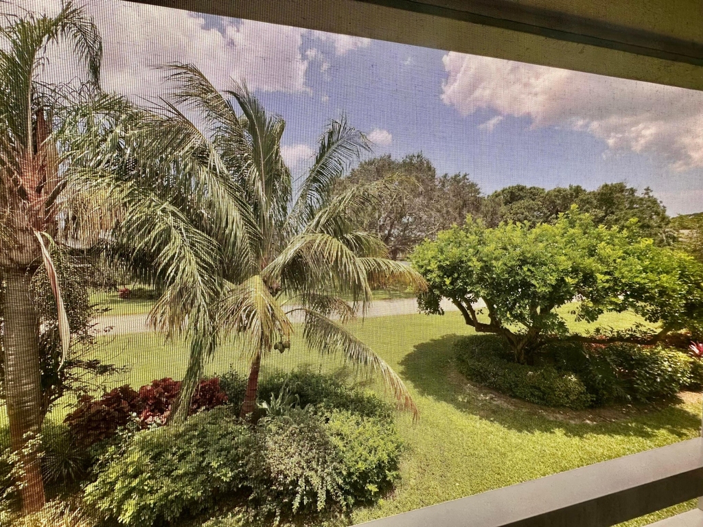 6 Garden Street - Photo 13