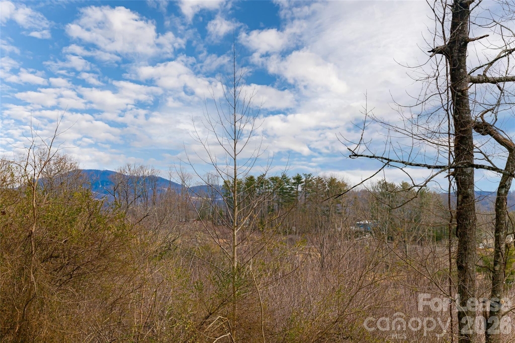 153-b Hackleburg Lane - Photo 3
