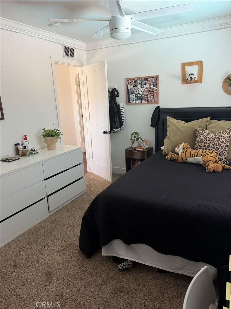 13580 Anochecer - Photo 28
