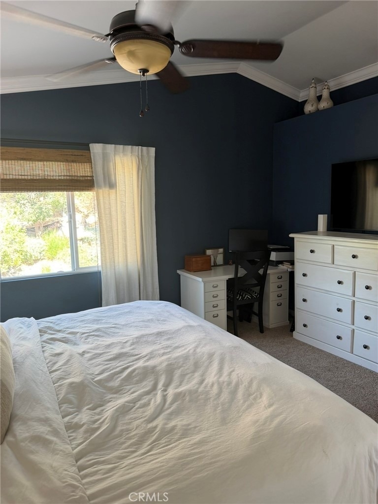 13580 Anochecer - Photo 38