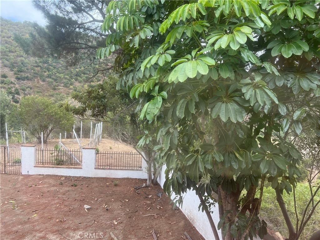 5620 Carbon Canyon - Photo 33