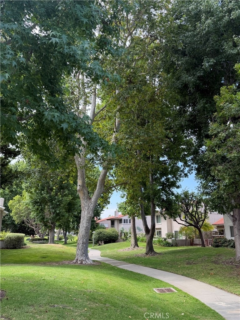 446 Vista Roma - Photo 29