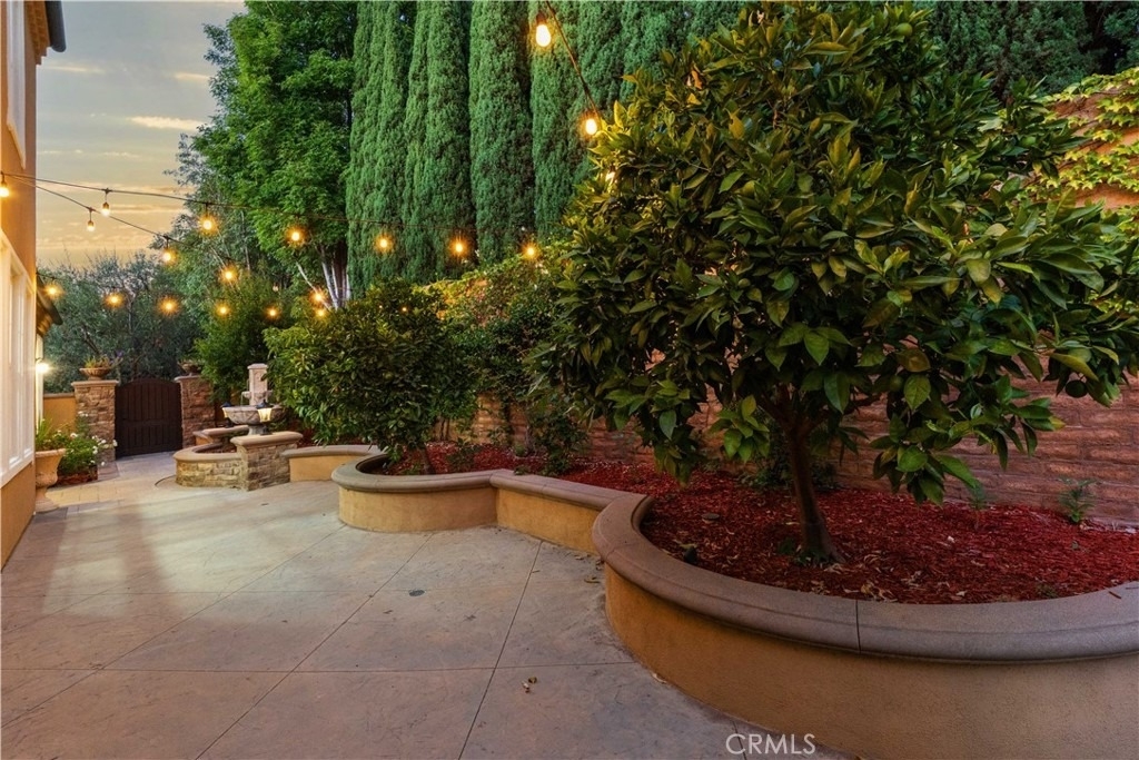 2 Conifer - Photo 52