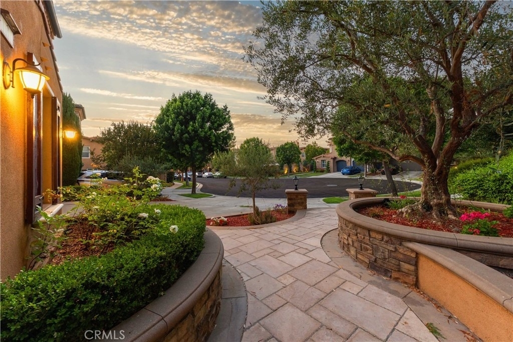 2 Conifer - Photo 48