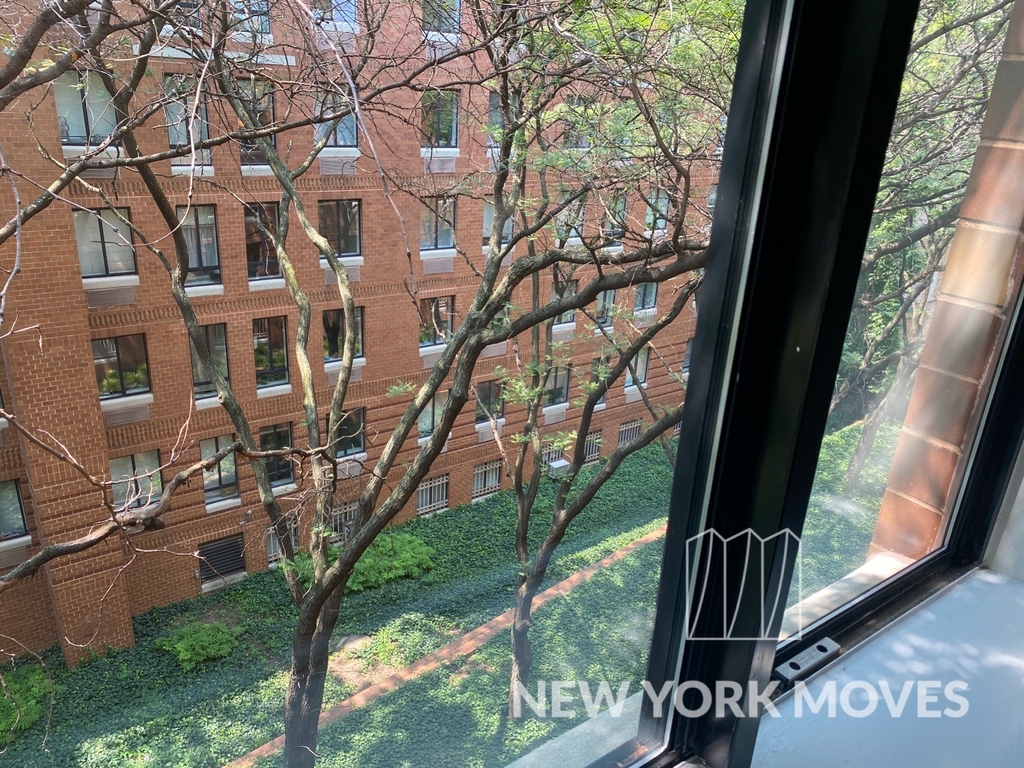 West 53rd Street - Photo 7