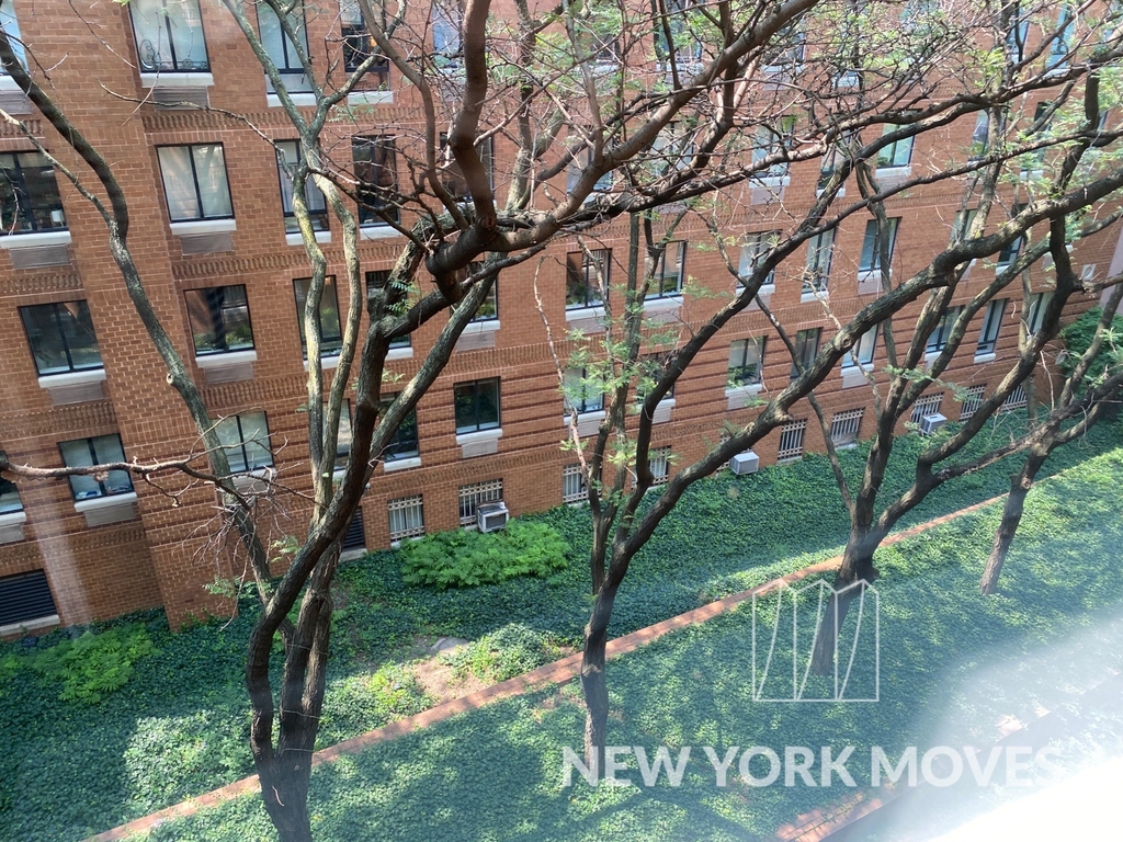 West 53rd Street - Photo 12