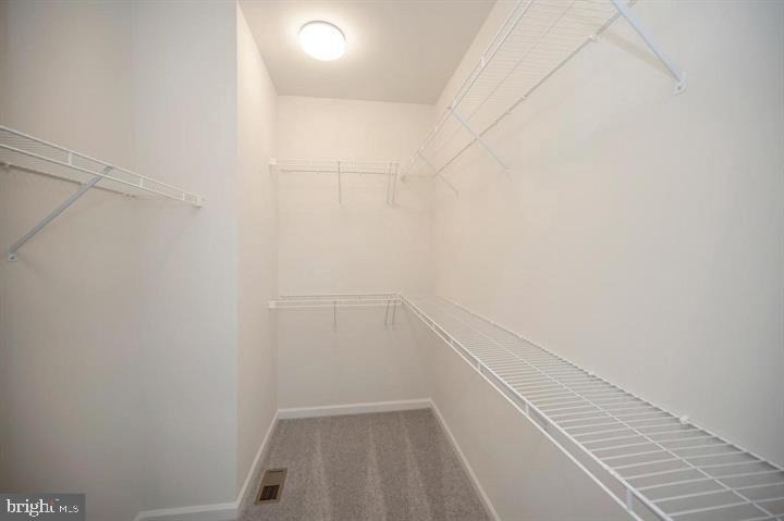 325 Crab Apple Drive - Photo 13