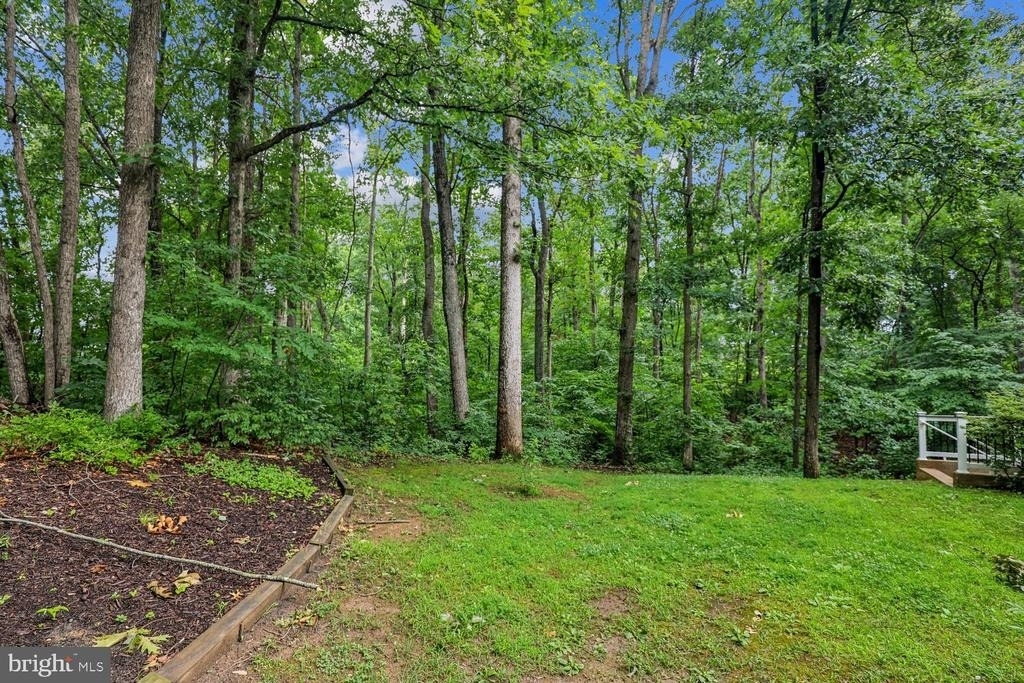 13104 Holly Leaf Court - Photo 11