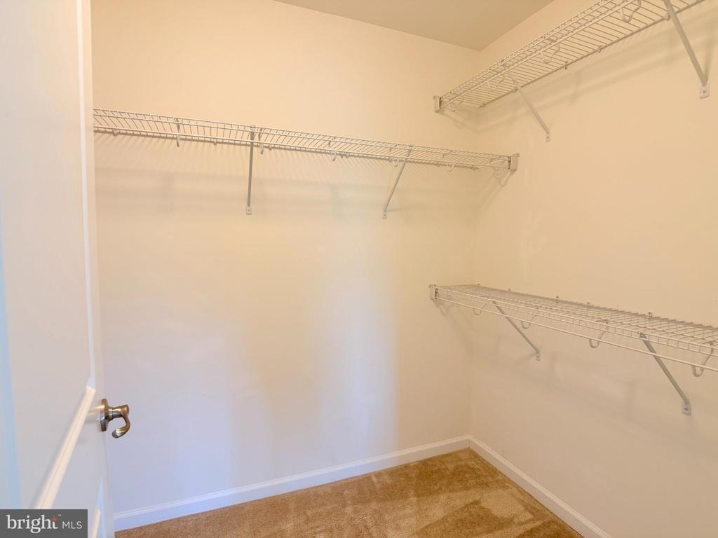152 Trout Lily Drive - Photo 17