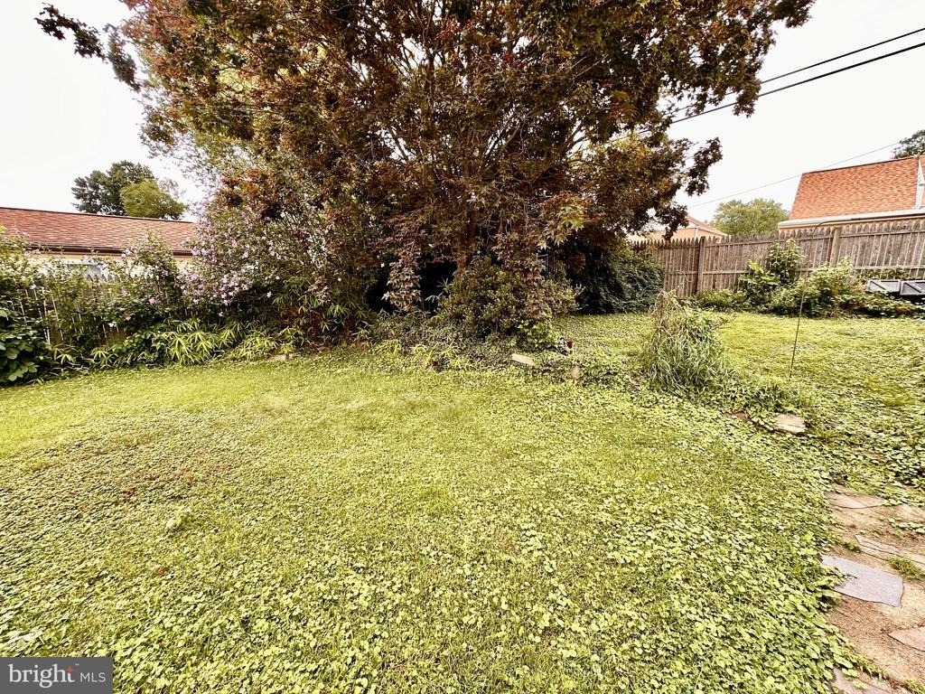 8730 Wissahickon Avenue - Photo 3
