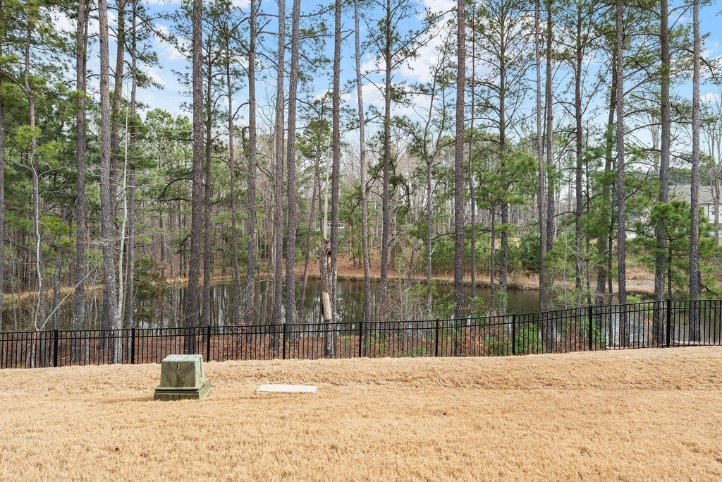 463 Autumn Rain Street - Photo 19