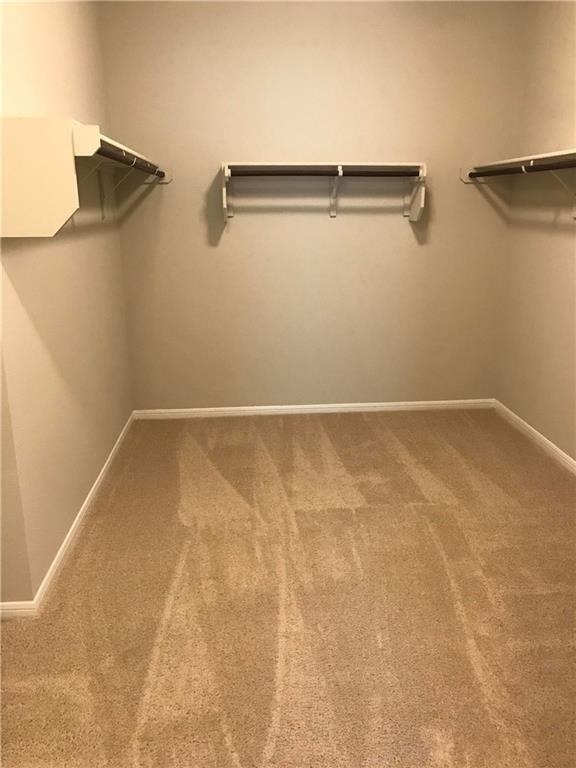 2205 Bettylou Ln - Photo 12