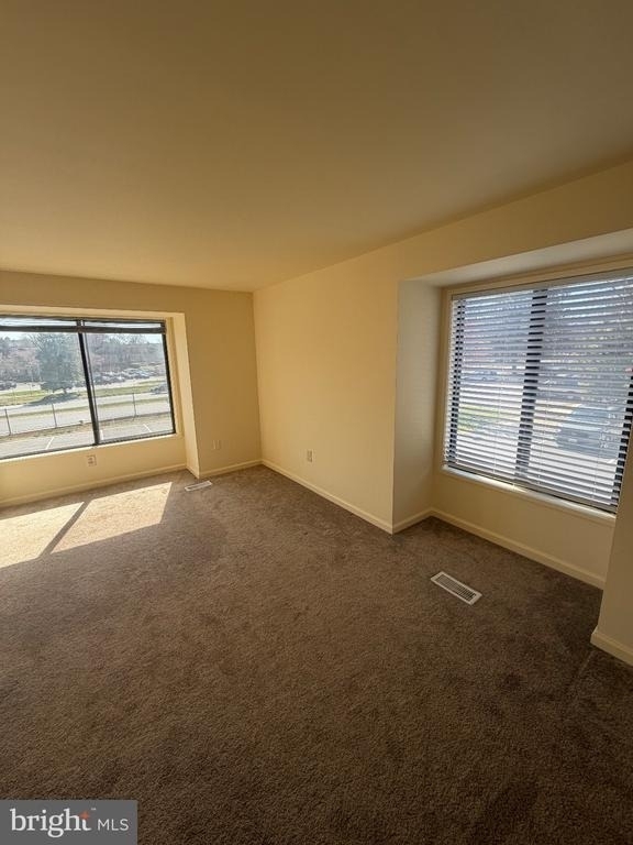 9709 Docena Drive - Photo 9