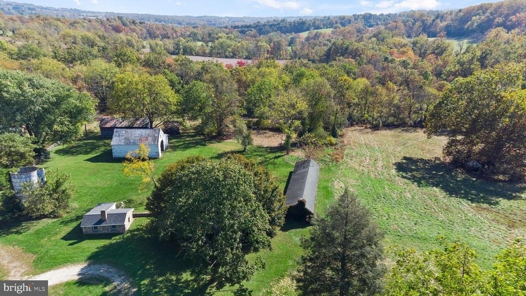 16131 Old York Road - Photo 10