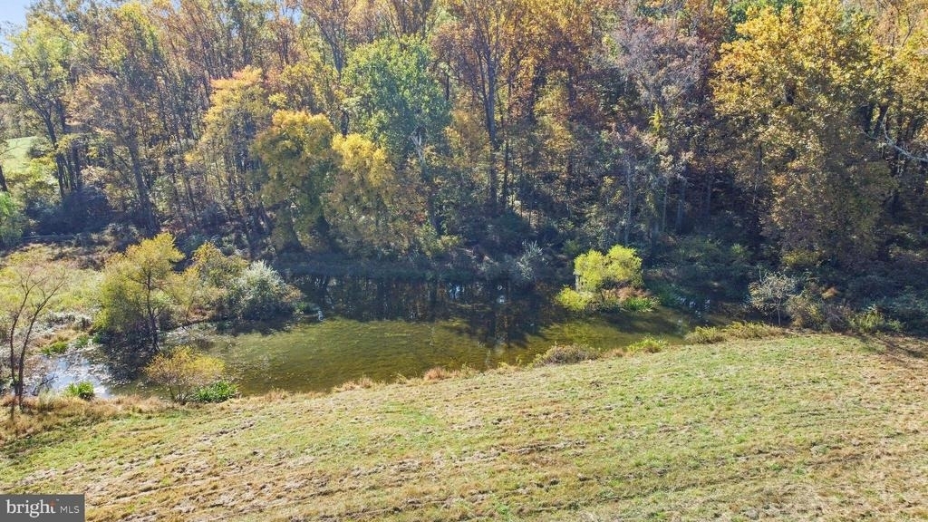 16131 Old York Road - Photo 8
