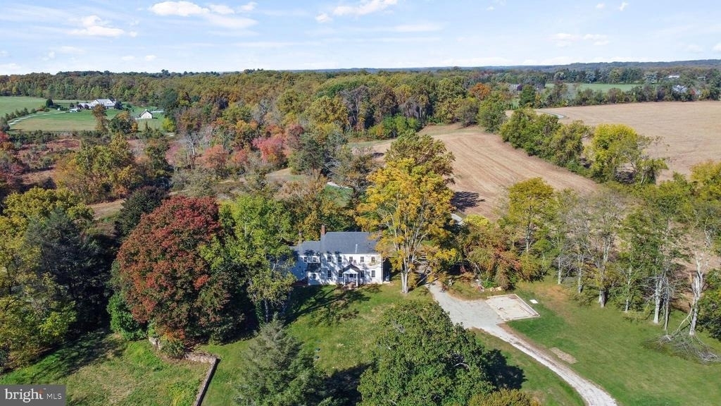 16131 Old York Road - Photo 3