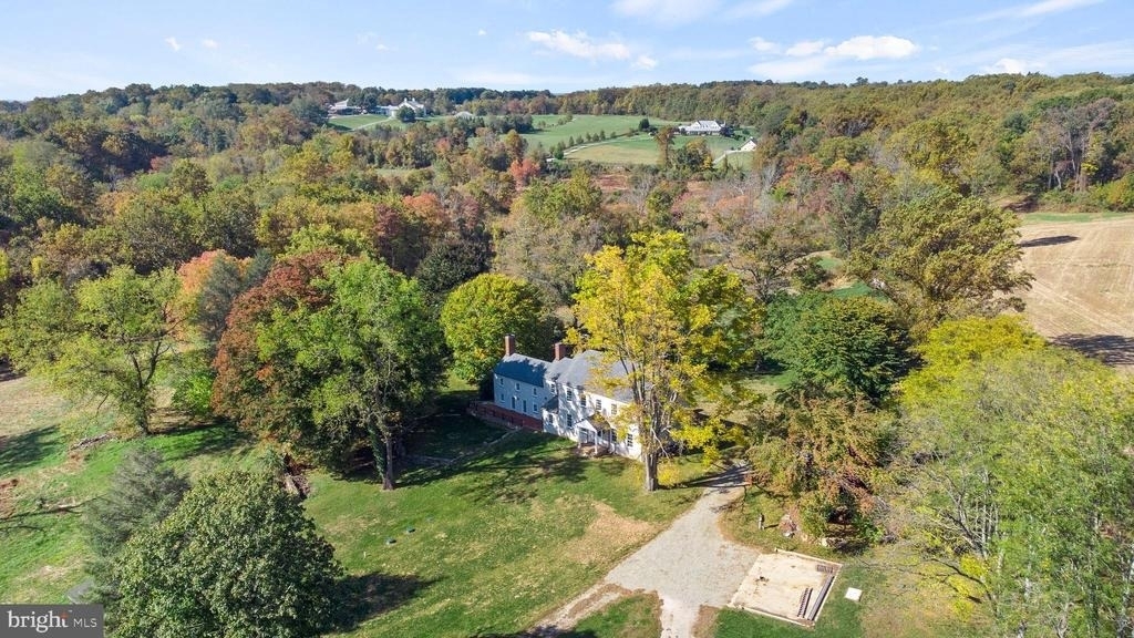 16131 Old York Road - Photo 7