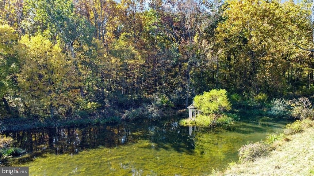16131 Old York Road - Photo 9