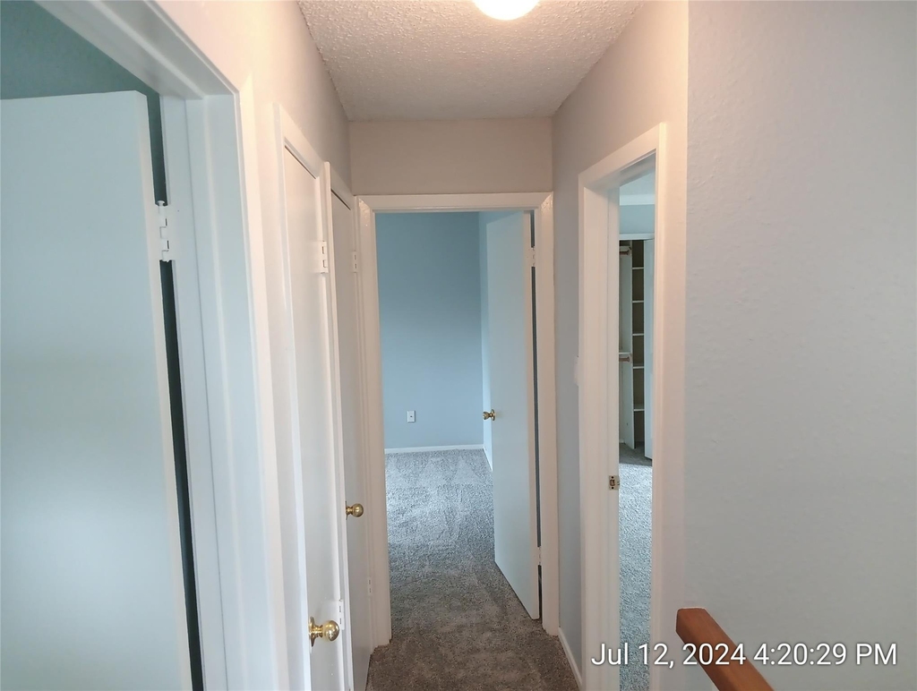 10700 Hard Rock Rd - Photo 19