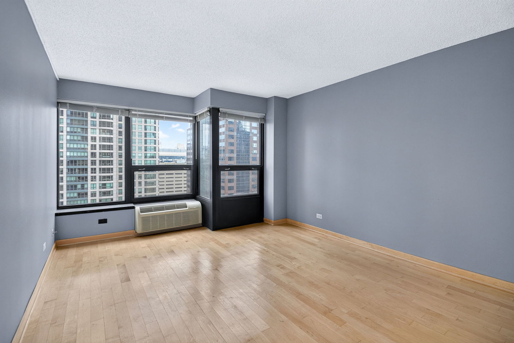 30 E Huron Street - Photo 13