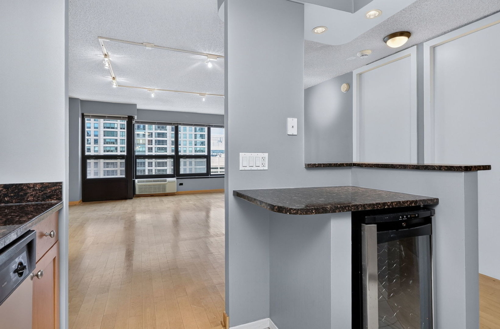 30 E Huron Street - Photo 11