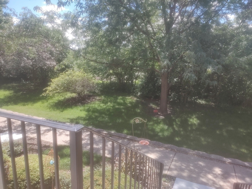24463 John Adams Drive - Photo 1