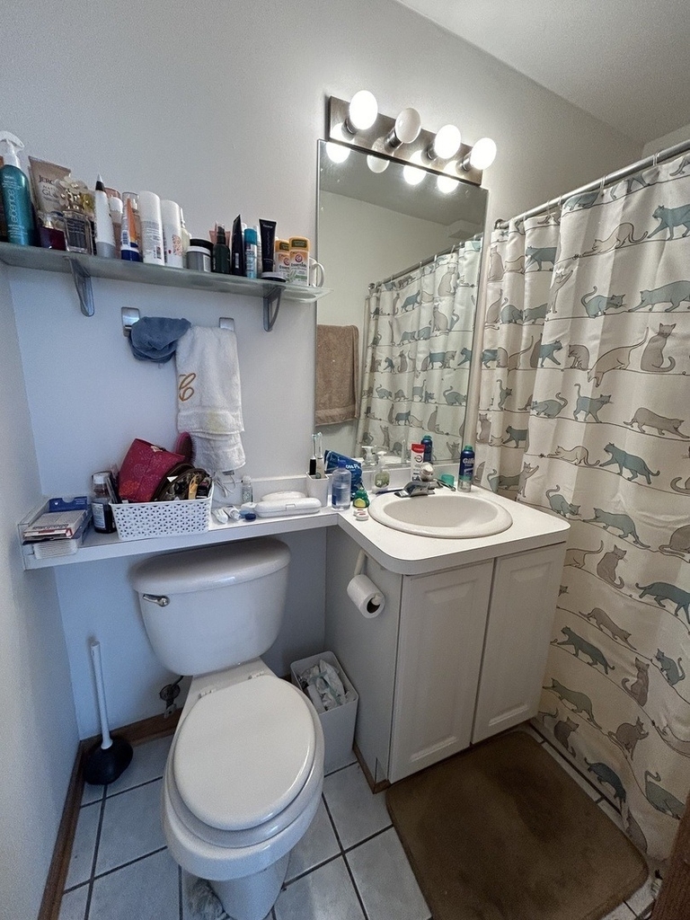 867 W Buckingham Place - Photo 14
