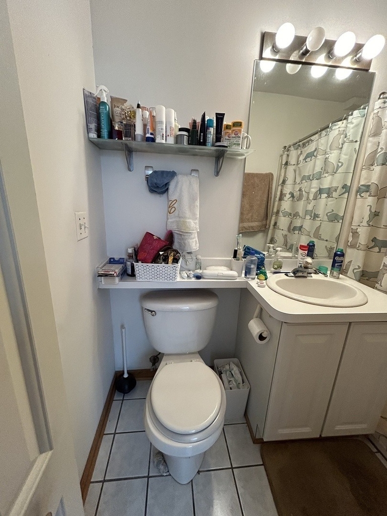 867 W Buckingham Place - Photo 15