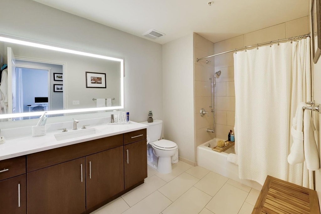 850 N Lake Shore Drive - Photo 14