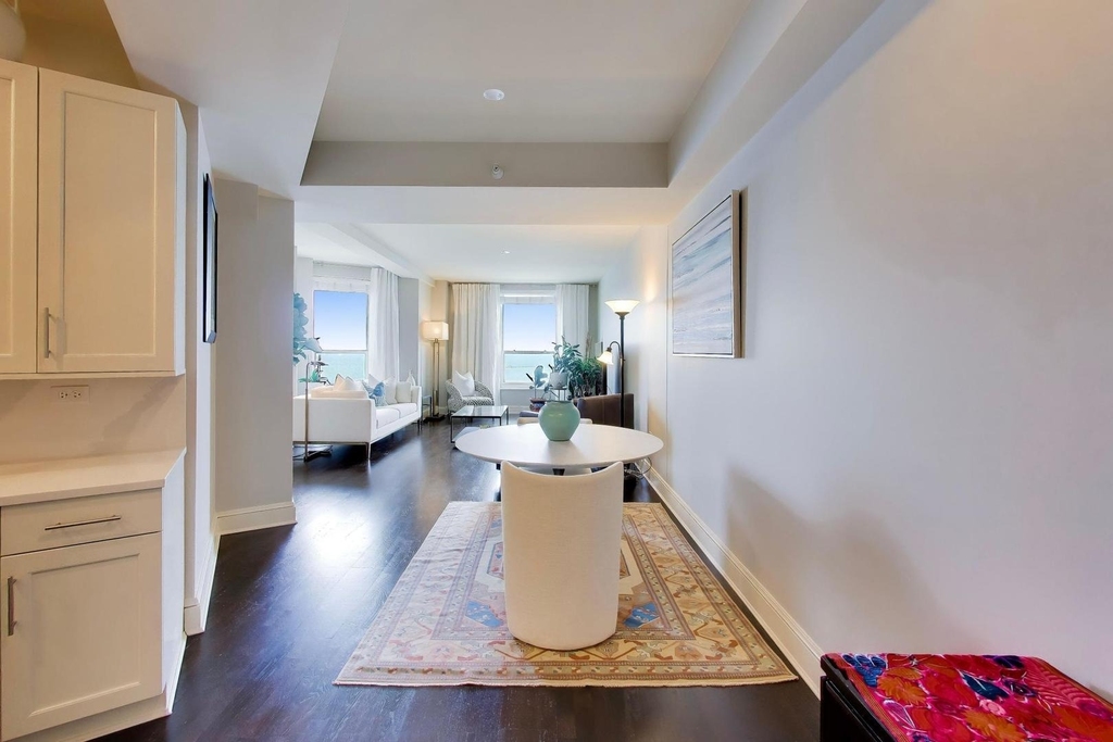 850 N Lake Shore Drive - Photo 4
