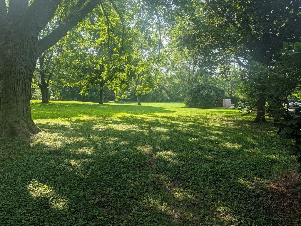 71 N Ela Road - Photo 25