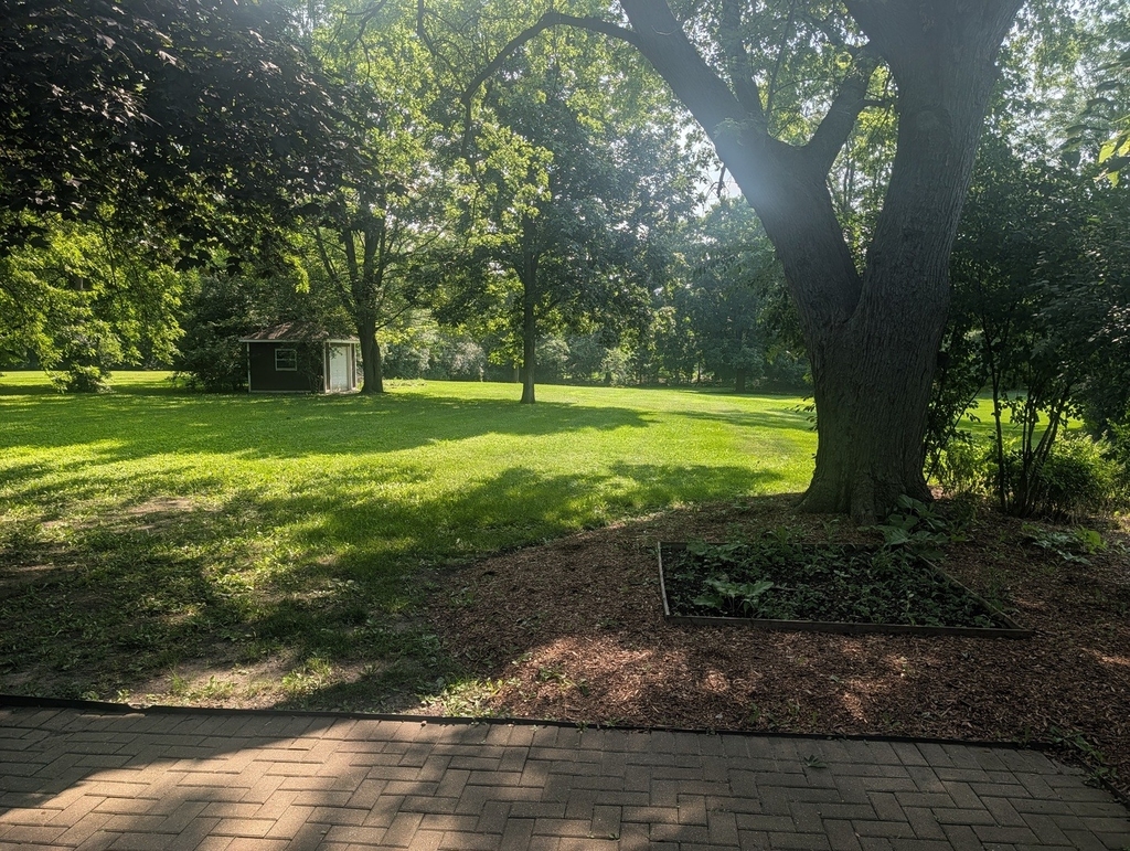 71 N Ela Road - Photo 24