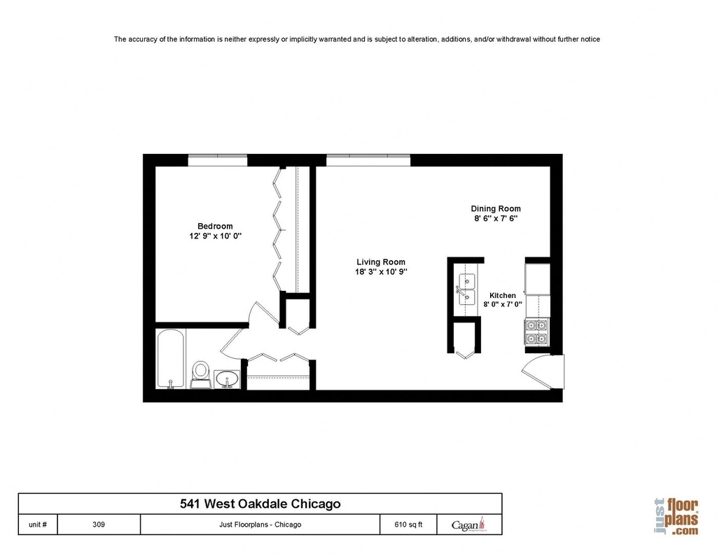 541 W Oakdale Avenue - Photo 8