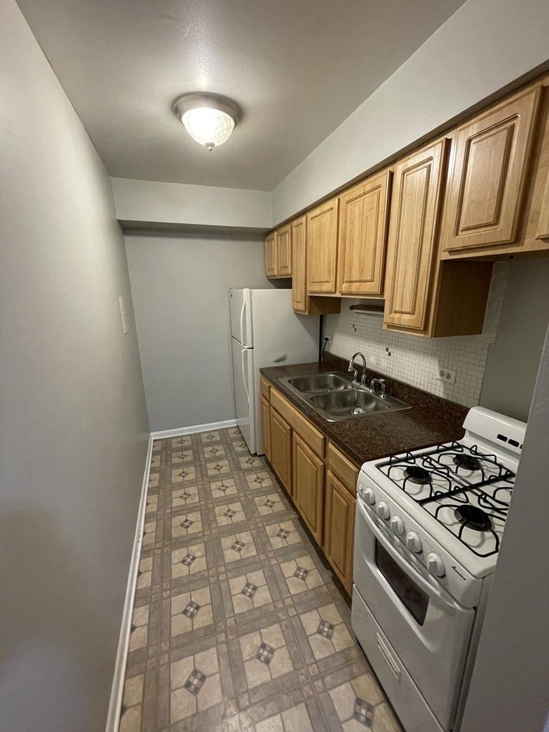 541 W Oakdale Avenue - Photo 1