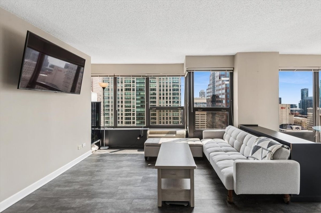30 E Huron Street - Photo 4