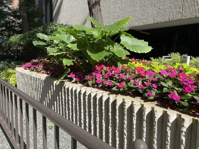 200 E Delaware Place - Photo 40