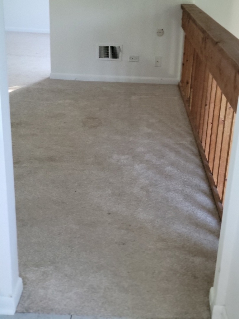 943 Clark Drive - Photo 11