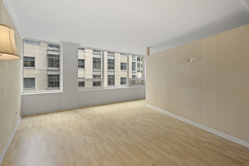 233 E Erie Street - Photo 2