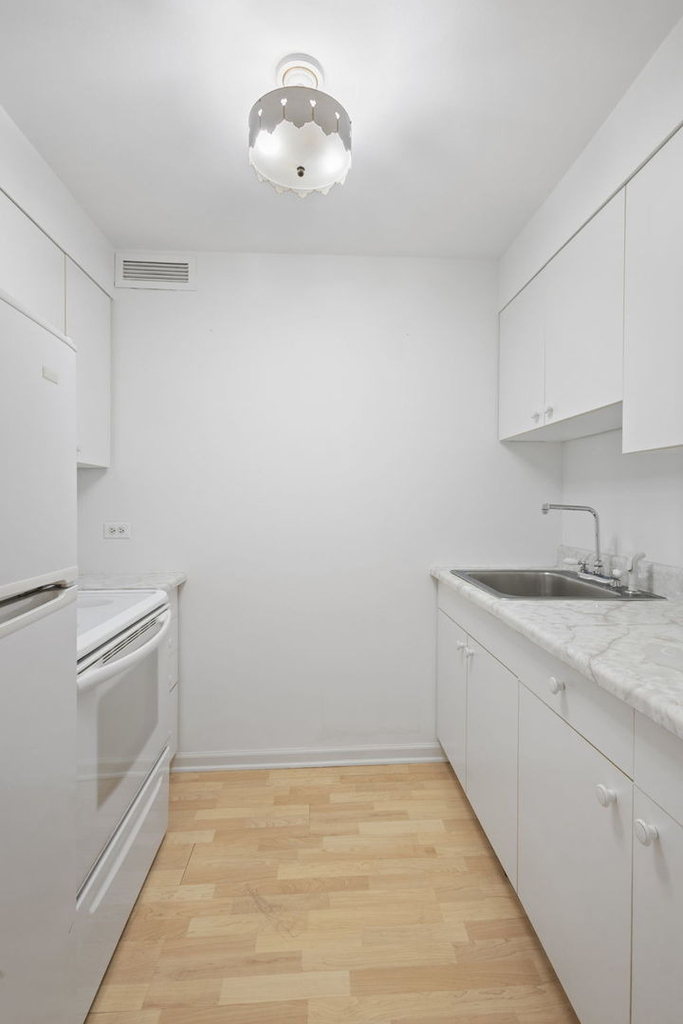 233 E Erie Street - Photo 10
