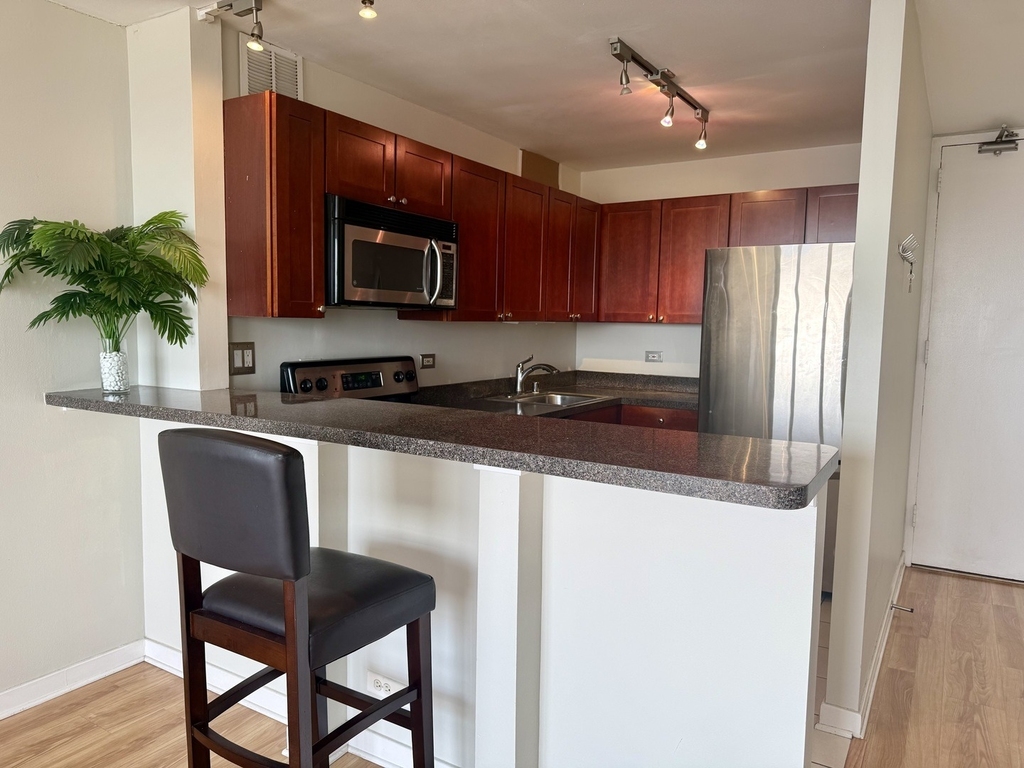 655 W Irving Park Road - Photo 3