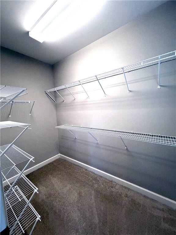 3026 Eltham Place - Photo 20