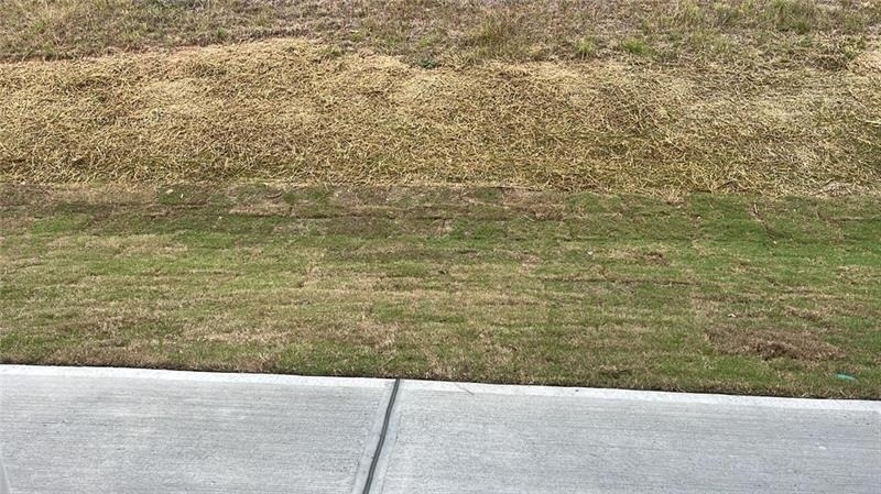 113 Vision Street - Photo 24