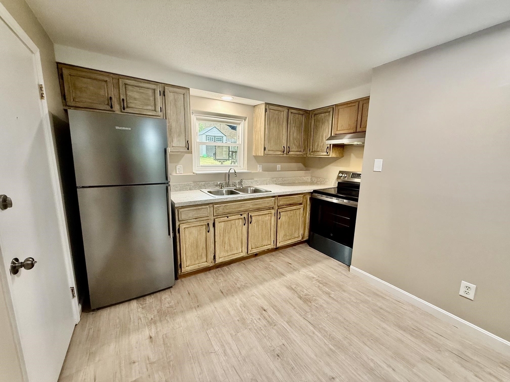 945 Mammoth - Photo 1